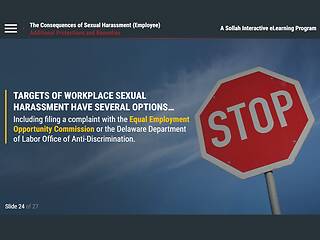 The Consequences of <mark>Sexual Harassment</mark>™ (DE Employee)