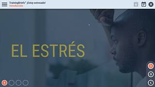 TrainingBriefs® I’m Stressed! (Spanish)