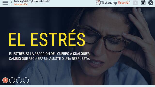 TrainingBriefs® I’m Stressed! (Spanish)