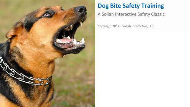 Dog Bite <mark>Safety</mark> Training™
