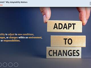 Training Briefs® Why Adaptability Matters