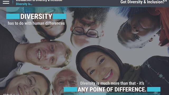 Got <mark>Diversity</mark> & Inclusion?™ An Introduction to <mark>Diversity</mark> & Inclusion