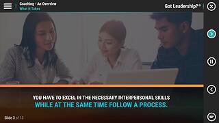 Got Leadership?® Coaching - An Overview