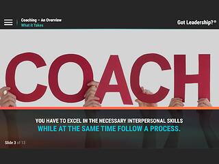 Got Leadership?™ Coaching - An Overview
