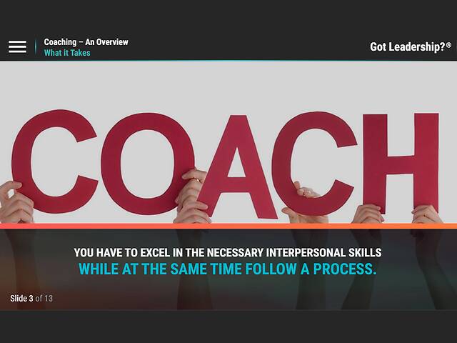 Got Leadership?™ Coaching - An Overview
