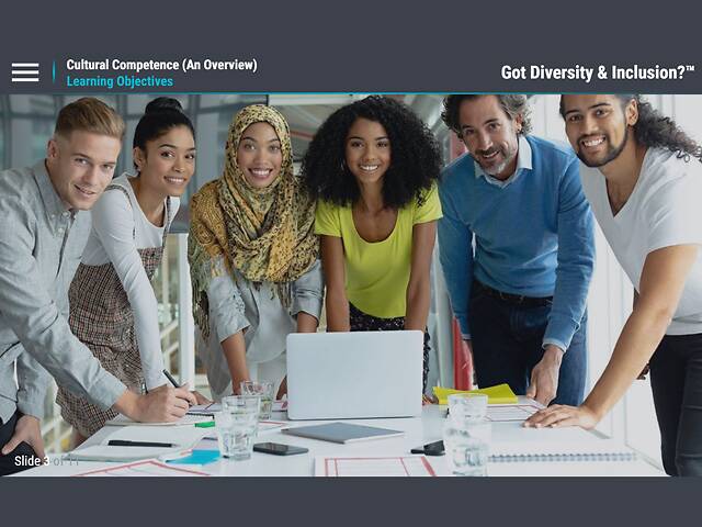 Got Diversity & Inclusion?™ Cultural Competence (An Overview)