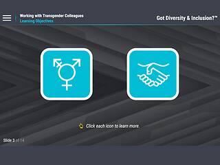 Got Diversity & <mark>Inclusion</mark>? Working with Transgender Colleagues (For Employees)