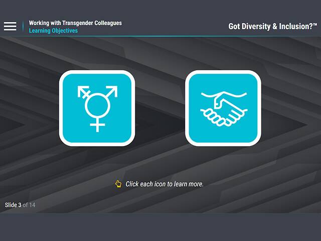 Got Diversity & Inclusion? Working with Transgender Colleagues (For Employees)