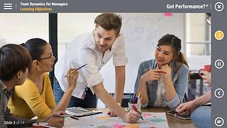 Got Performance?® Team Dynamics for Managers