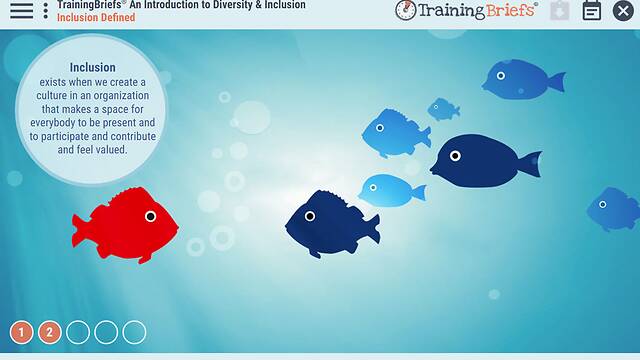 TrainingBriefs®  An Introduction to <mark>Diversity</mark> & Inclusion