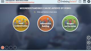 TrainingBriefs® When Peers Collide