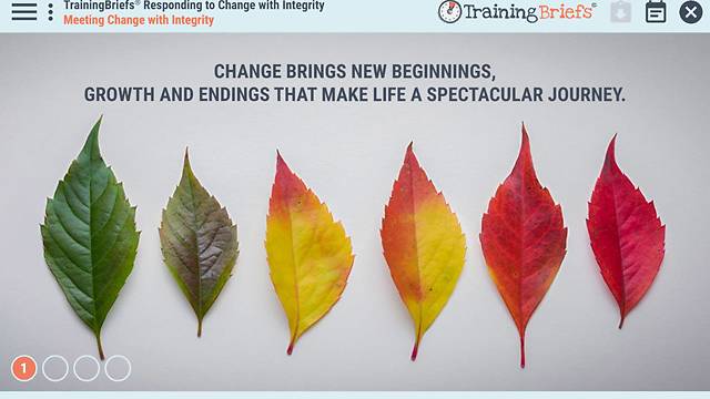 TrainingBriefs® Responding to Change with Integrity