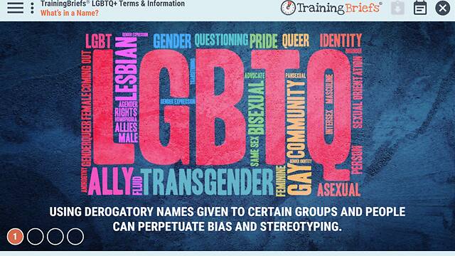 TrainingBriefs® LGBTQ+ Terms & Information