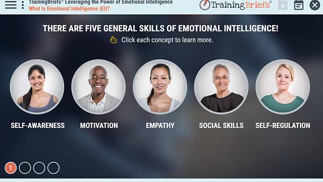 TrainingBriefs® Leveraging the Power of Emotional Intelligence