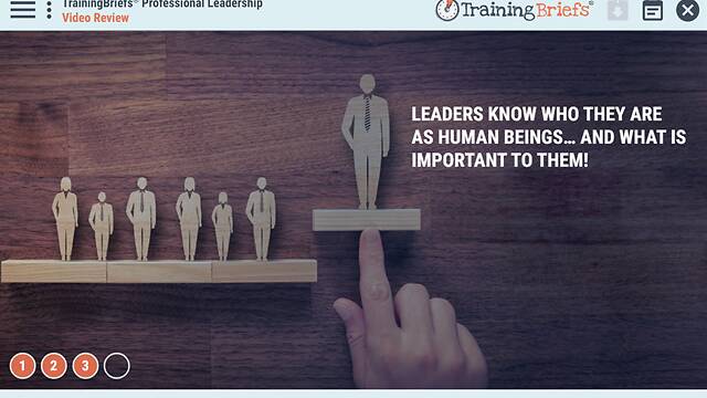 TrainingBriefs® Professional Leadership